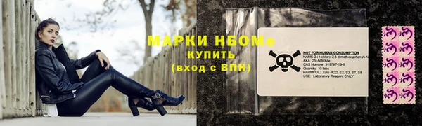 ПСИЛОЦИБИНОВЫЕ ГРИБЫ Верея