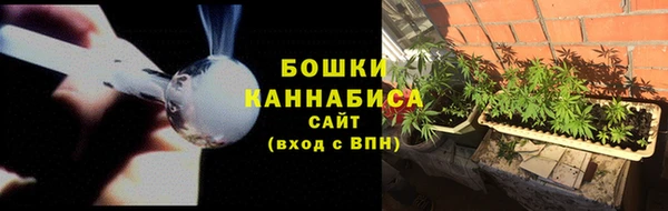 дживик Бронницы