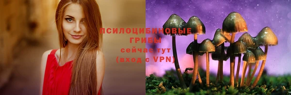 ПСИЛОЦИБИНОВЫЕ ГРИБЫ Верея