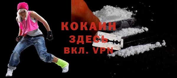 ПСИЛОЦИБИНОВЫЕ ГРИБЫ Верея