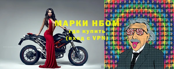 дживик Бронницы