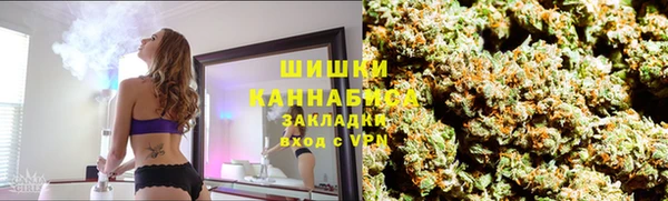 дживик Бронницы