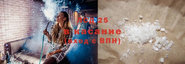 дживик Бронницы