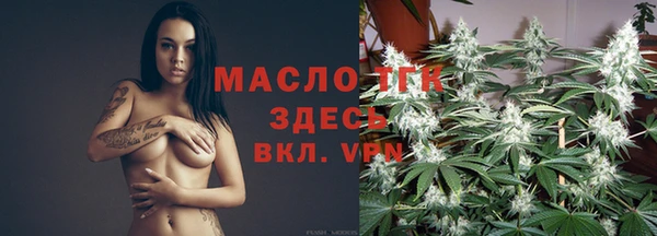 дживик Бронницы