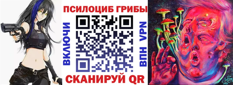 Псилоцибиновые грибы Psilocybe  Карабаново 